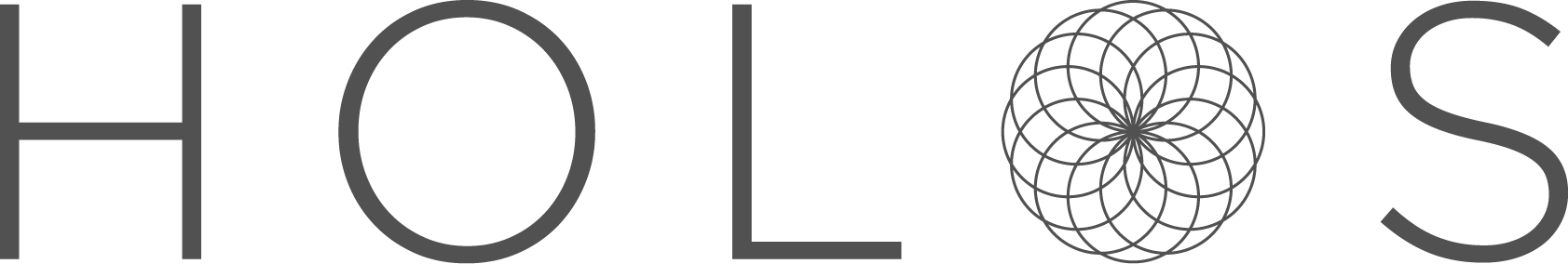 Holos Global logo
